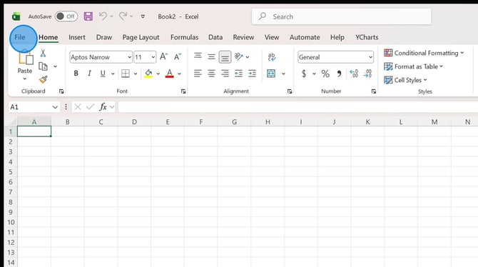 How to Check Your Microsoft Excel Version Details - Step 0