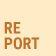 REPORT-icon-