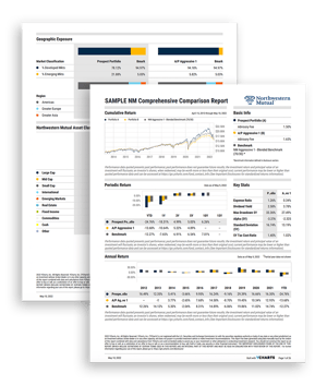 sample NM PDF reports